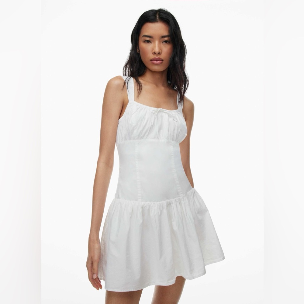 Aritzia Sunday Best Strudel Poplin Dress